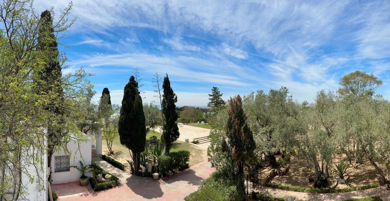Si Brahim Studio Piscine, Sidi Bou Ali Dış mekan fotoğraf